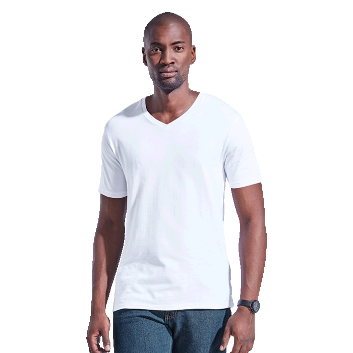 Slim Fit V-Neck T-Shirt
